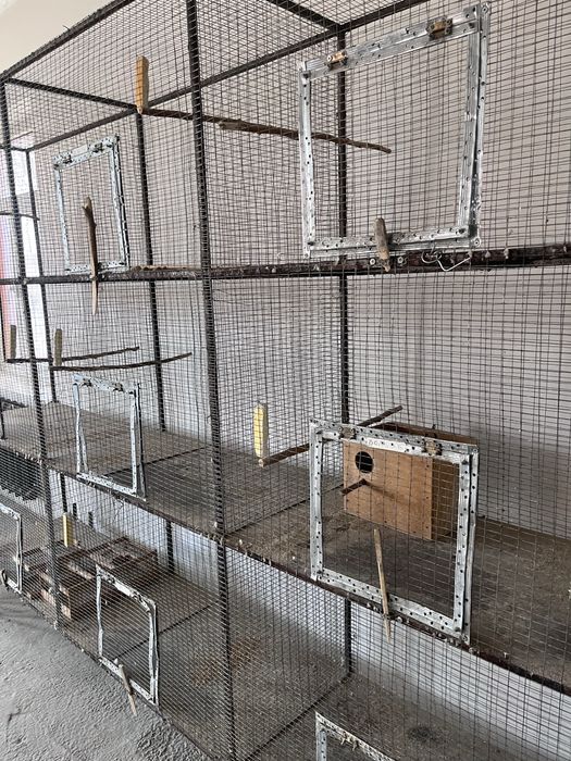 Papugay lar uchun qafas