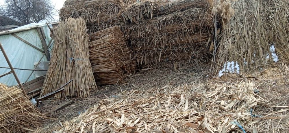 Harxil turdagi qamichlar stroyka lomboz dekaratvniy hammasidan bor