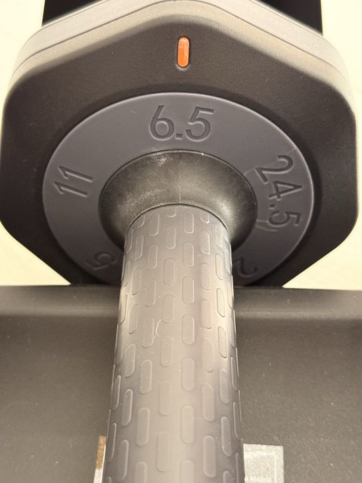 Gantera reglabilă 6,5–24,5 kg (55 lb) cu suport – reglare rapidă