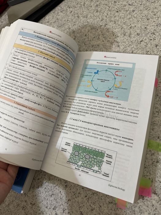 Glucose книга и тест 40 вариянтов