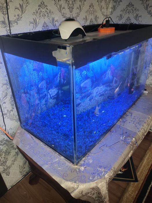 Аквариум сотаман 300л