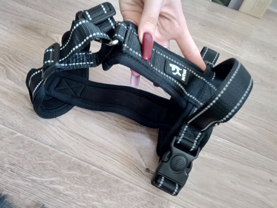 Новая шлейка для собаки!