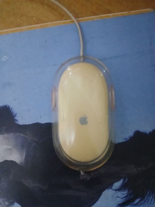 Pro mouse, Apple