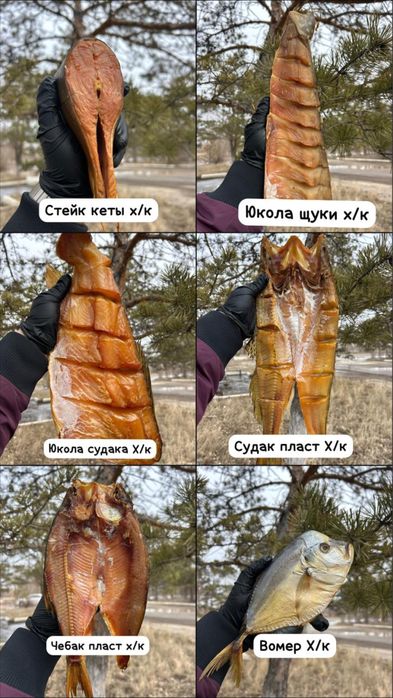 Рыбная продукция