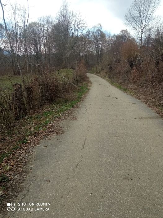 Teren Brădetu, Valea Vâlsanului - Argeș, intravilan!