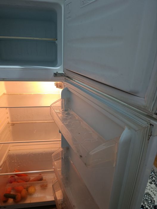 Xolodelnik holati yangi