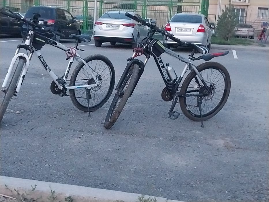 Алсандар окын бейсындер