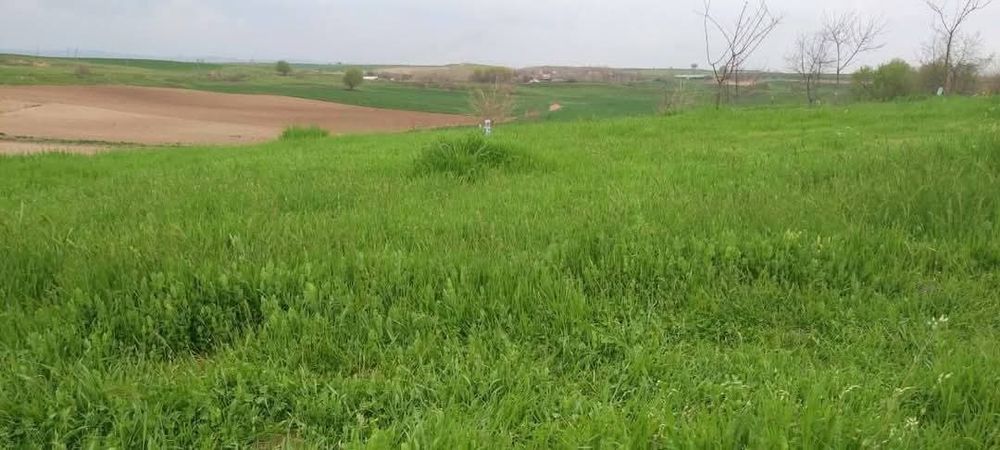 Загородные участки с кадастрами РАСПРОДАЖА!