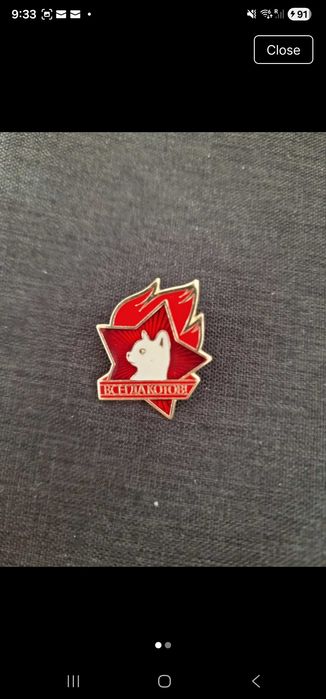 Pin dog red russian vinted sale only