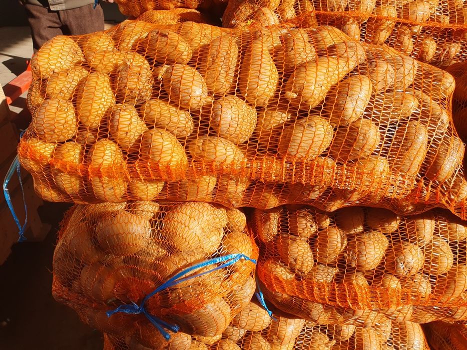 Cartofi consum, Carrera 50+, ambalat ieri 19 februarie