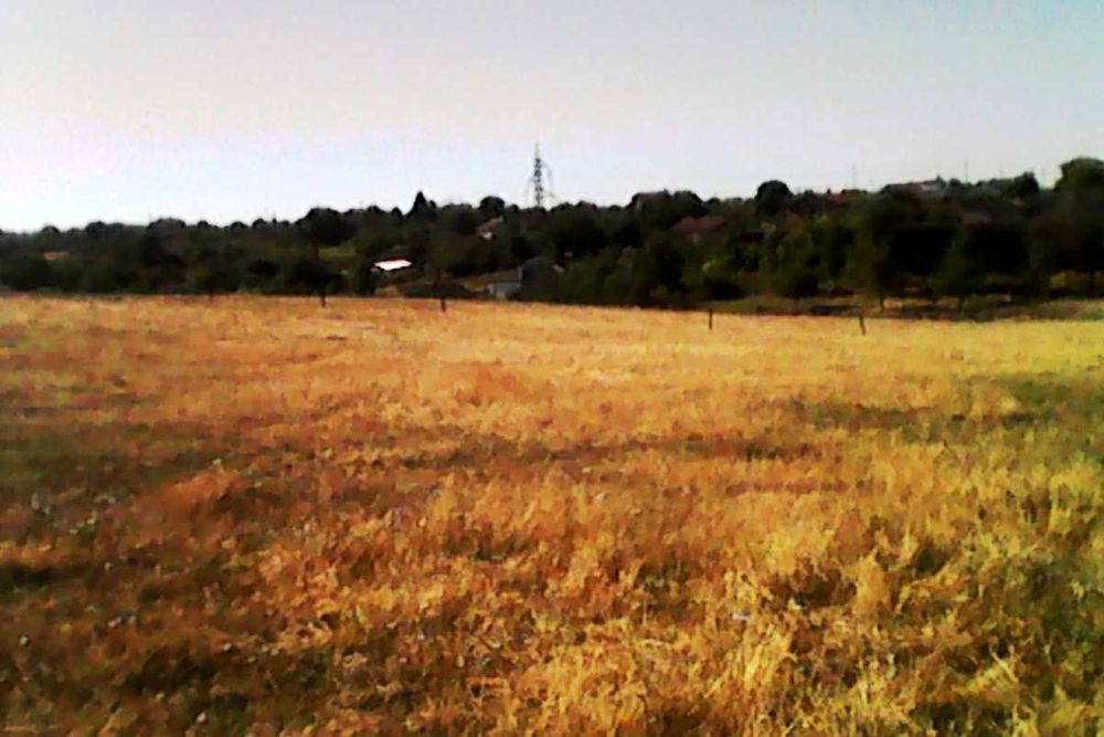 Продава се Земеделски имот в Пловдив, Тракия -  кв.м за 715 €/дка - Снимка #9