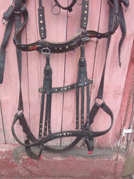 Ham de Cluj și căruță de Lona