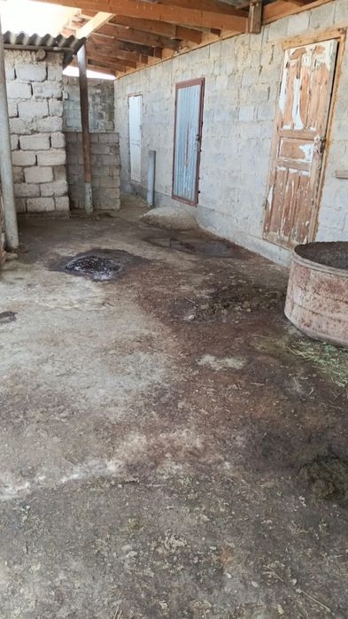 Сарай ,қора , склад