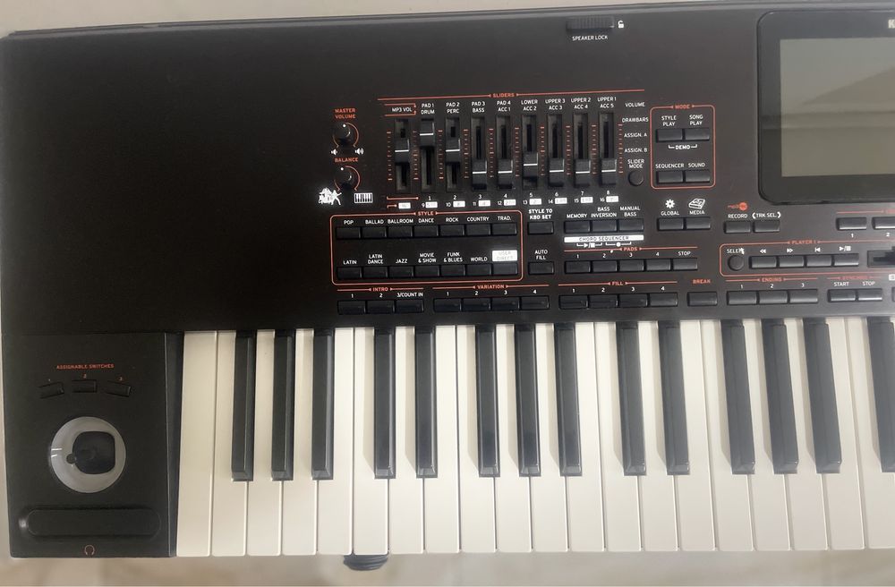 Vand sau schimb cu korg Pa5x