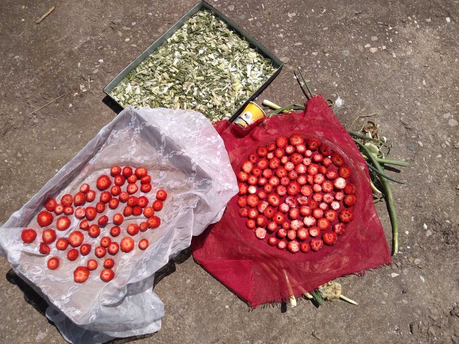 Детегледачка / домашна помощница