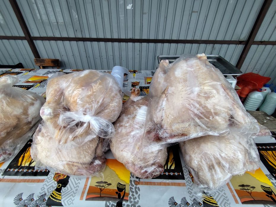 Домашние бройлеры