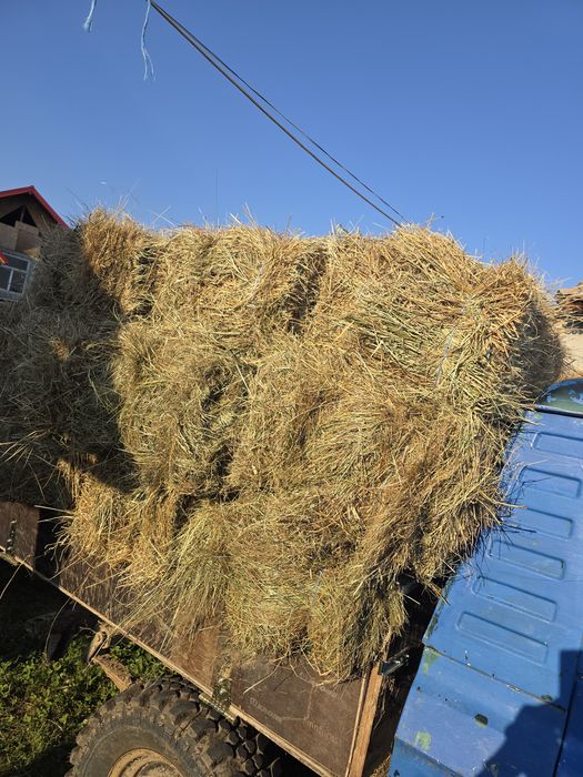 Baloți de fân ..