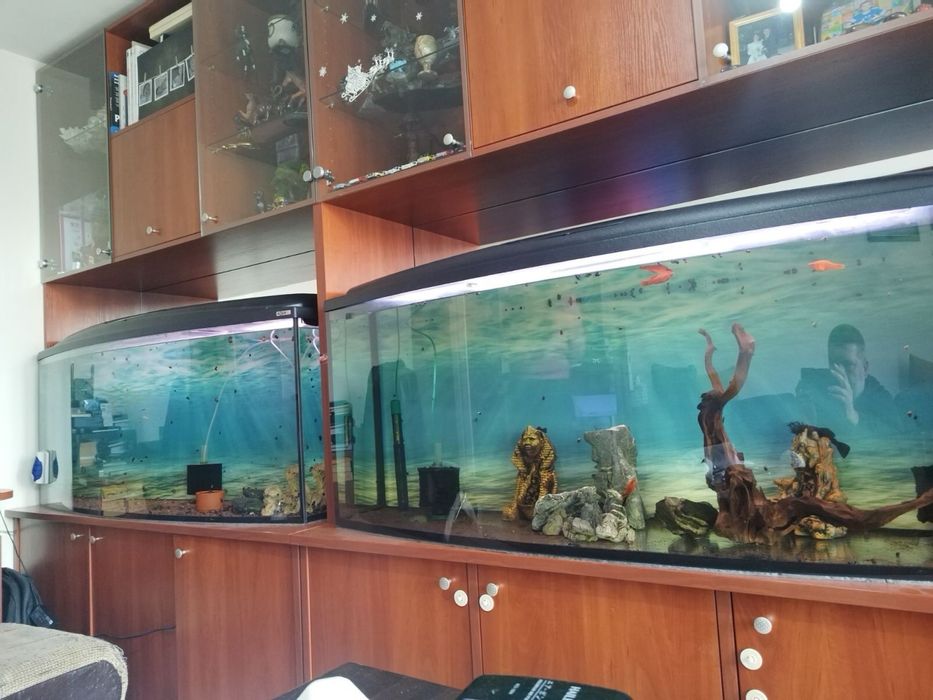 Комплект аквариуми