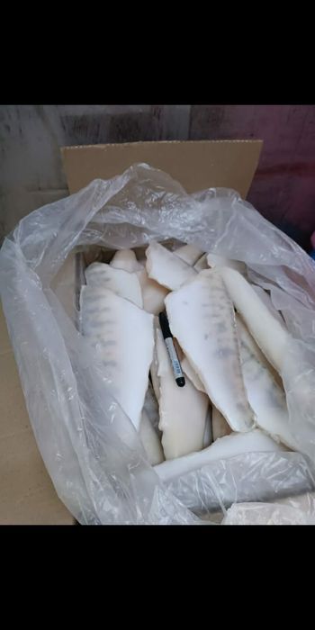 Рыба свежая оптом