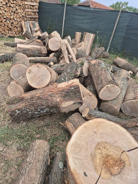 Lemne de foc doar esente tari