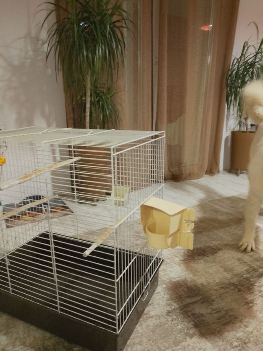 87лв.-FERPLAST Голяма клетка за канари,екзотични птици .