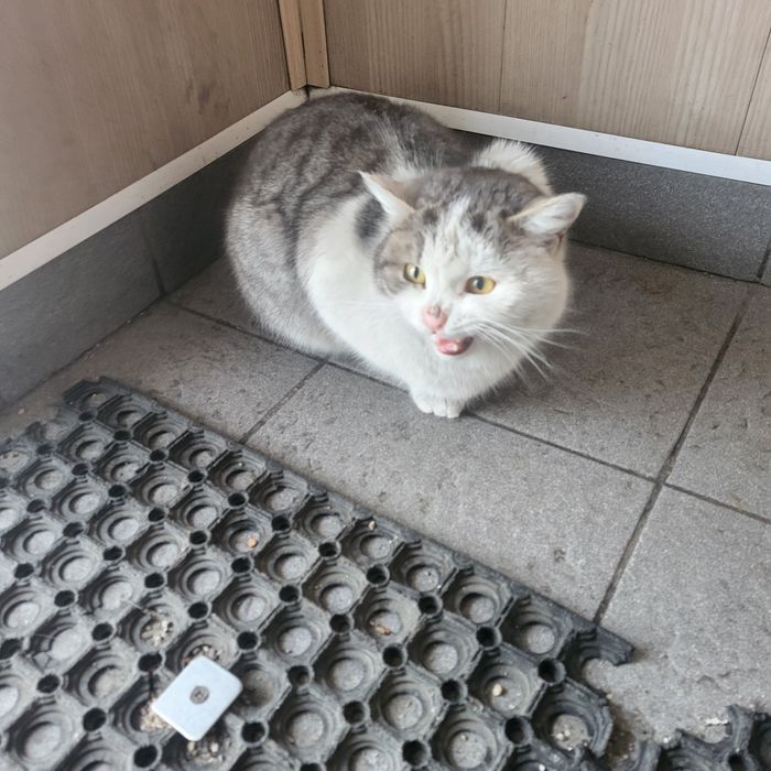 Подарите мне дом!