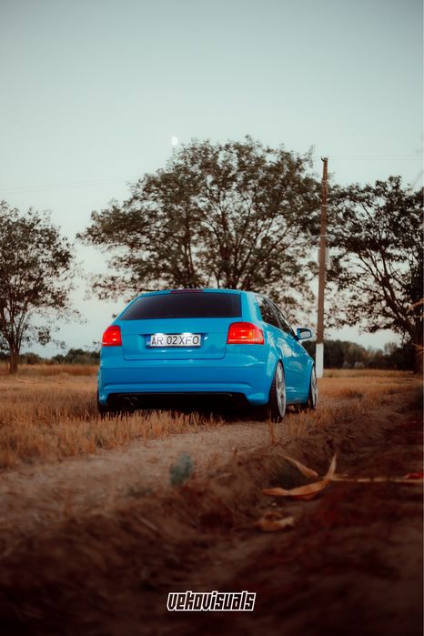 Vand /Schimb Audi A3 8P
