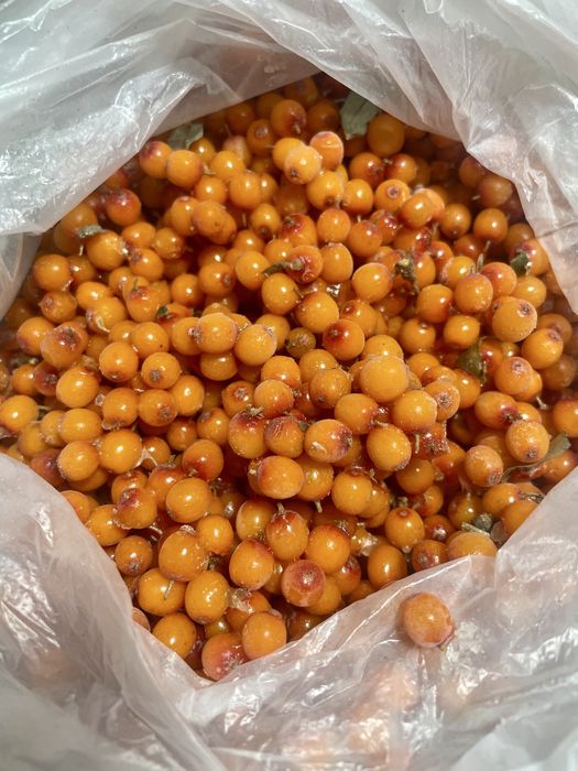 Облепиха мороженная