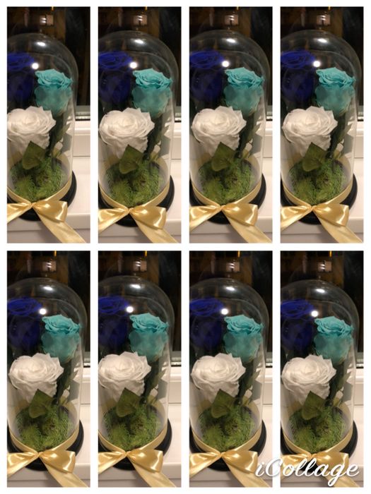 Cupola cu 3 trandafiri criogenati