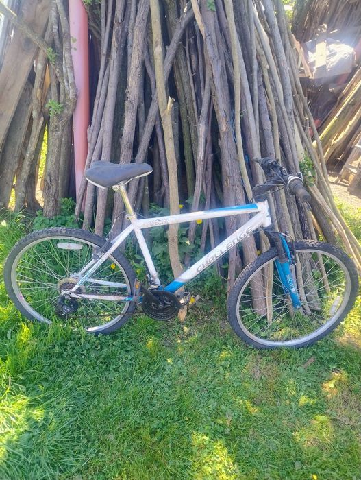 Bicicleta Marin...