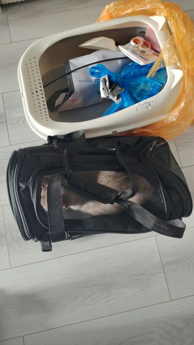 Кошка домашняя стерилизованный