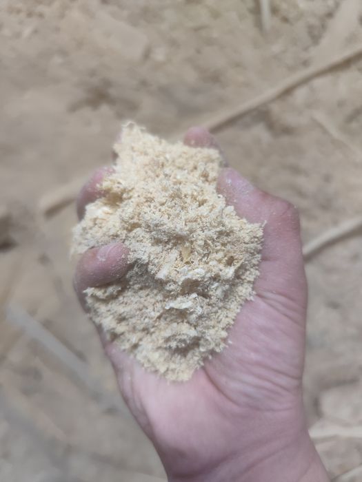 Опилки древесные сосна береза