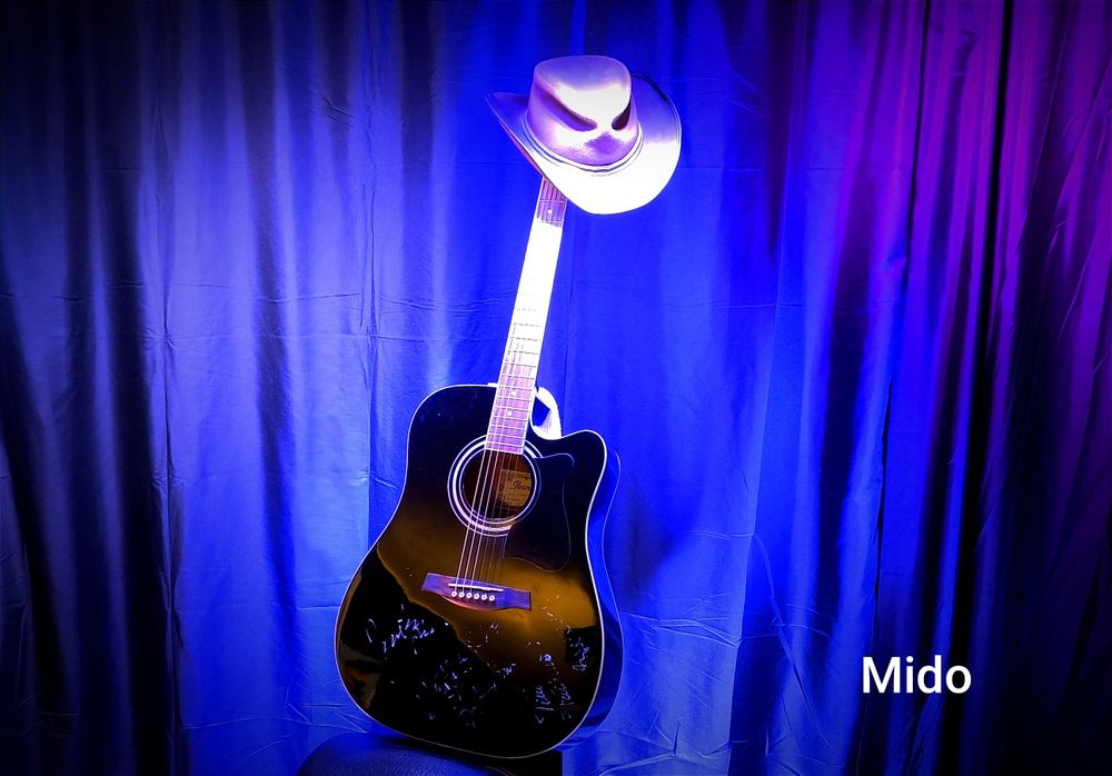 Lectii de chitara -reparatii !Suceava