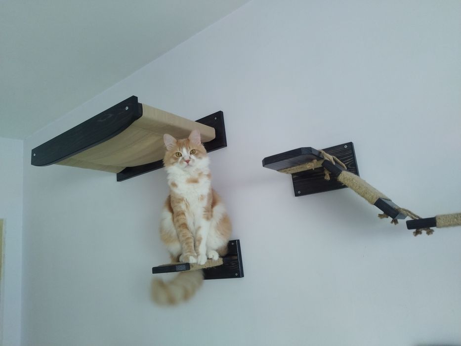 Котешка стена за игра и релакс