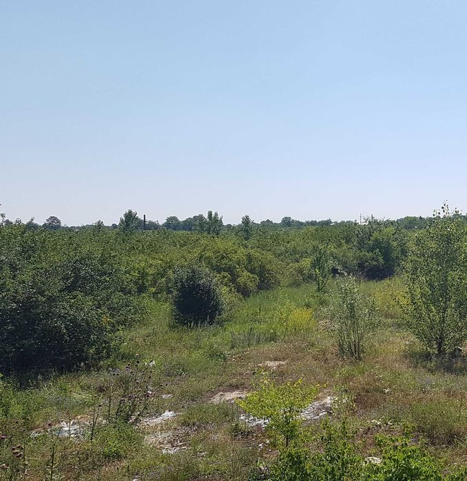 Teren 3,4 HA cu ATR 400 KWH intravilan curti constructii