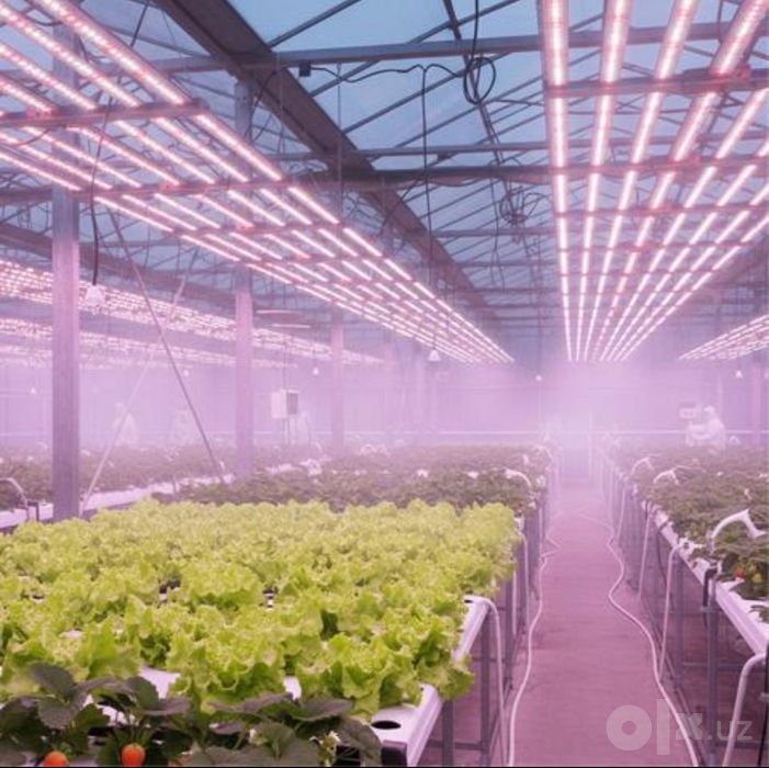 Фитосветильник 320W Для Теплицы И Домашнего Выращивания, ДЛЯ ЛЮБЫХ РАС
