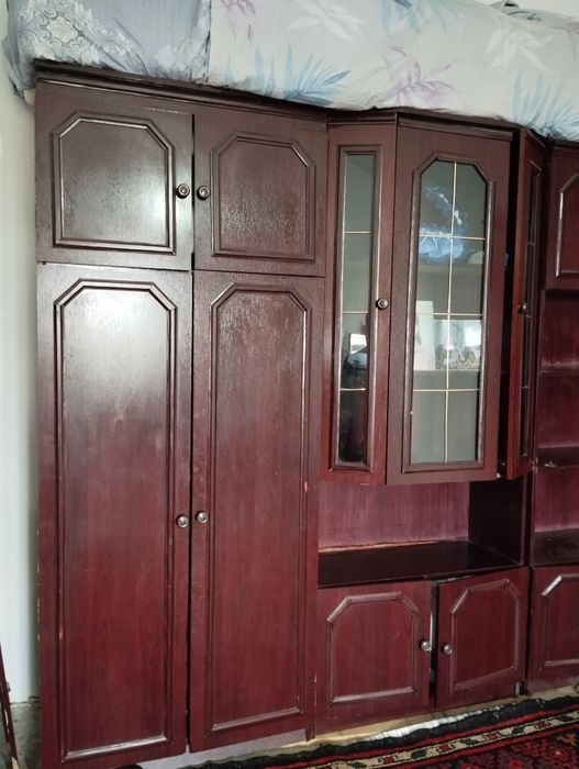 Stenka yangiday zoʻr