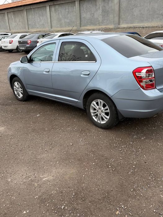 кобальт сотилади йили 2020 делфин