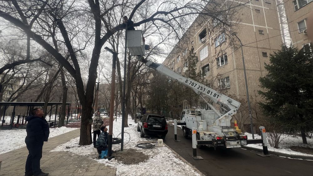 Кобра ( АГП)