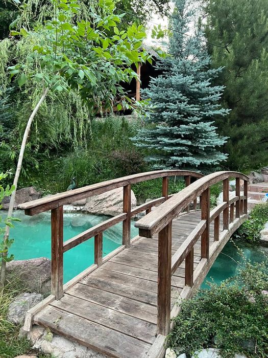 Вилла / Уникальное Шале в горах Чимган / Роскошный  Дом