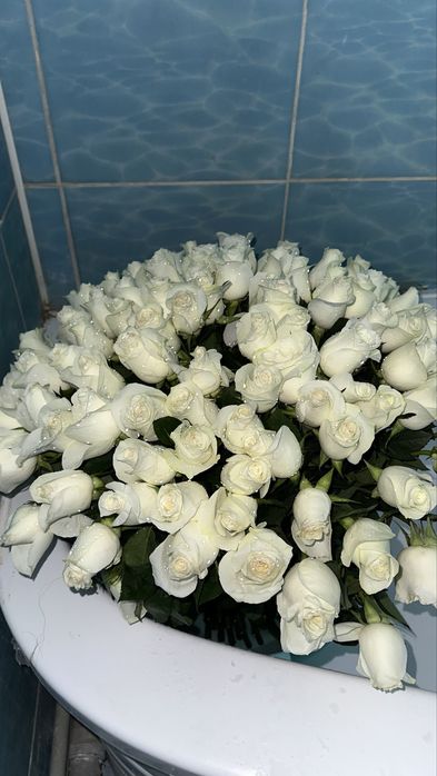 цветы 101 роза белая