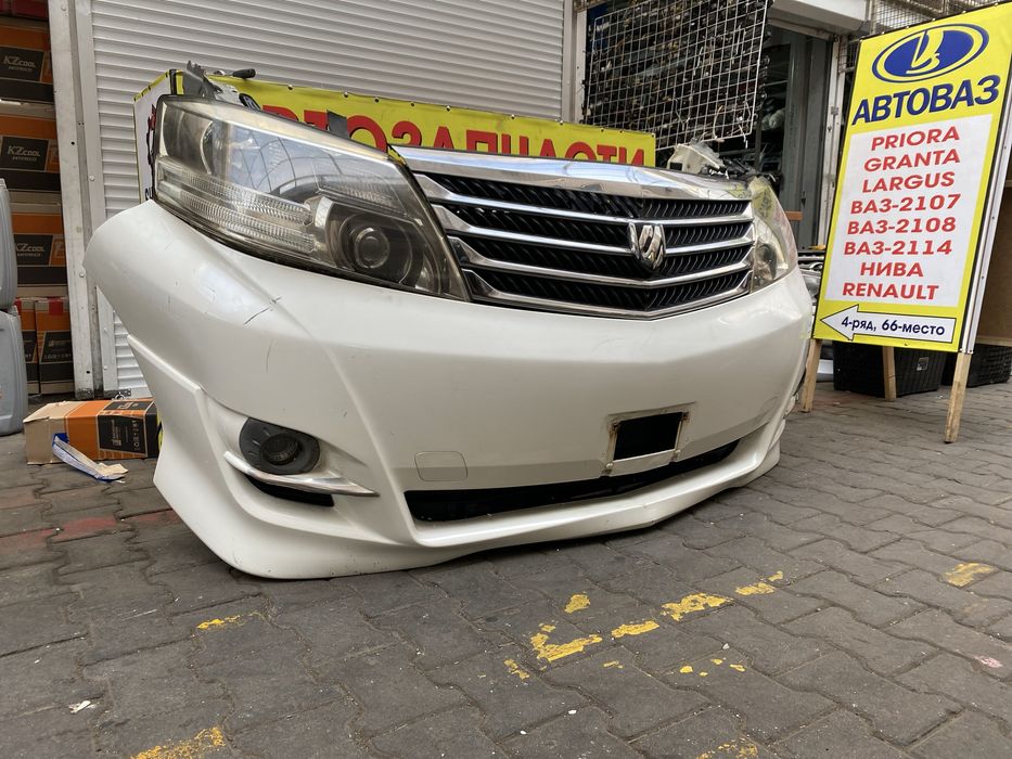 Ноускат Альфард