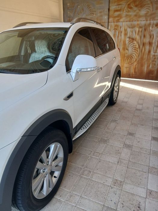 Каптива 3+експртни срочна сотилади идеалний