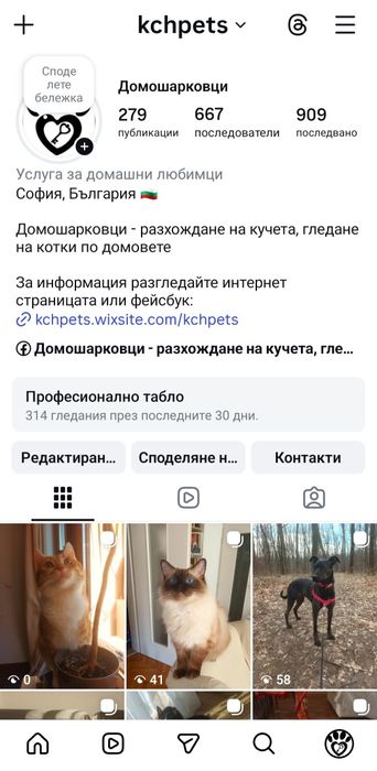 Гледане на кучета и котки по домовете - Домошарковци