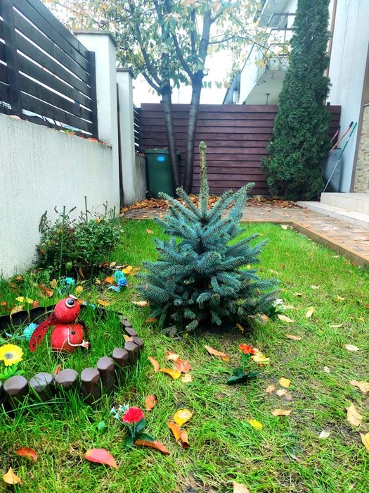 Casă P+1,4 camere, curte amenajată,Berceni ,Metrou Tudor Arghezi