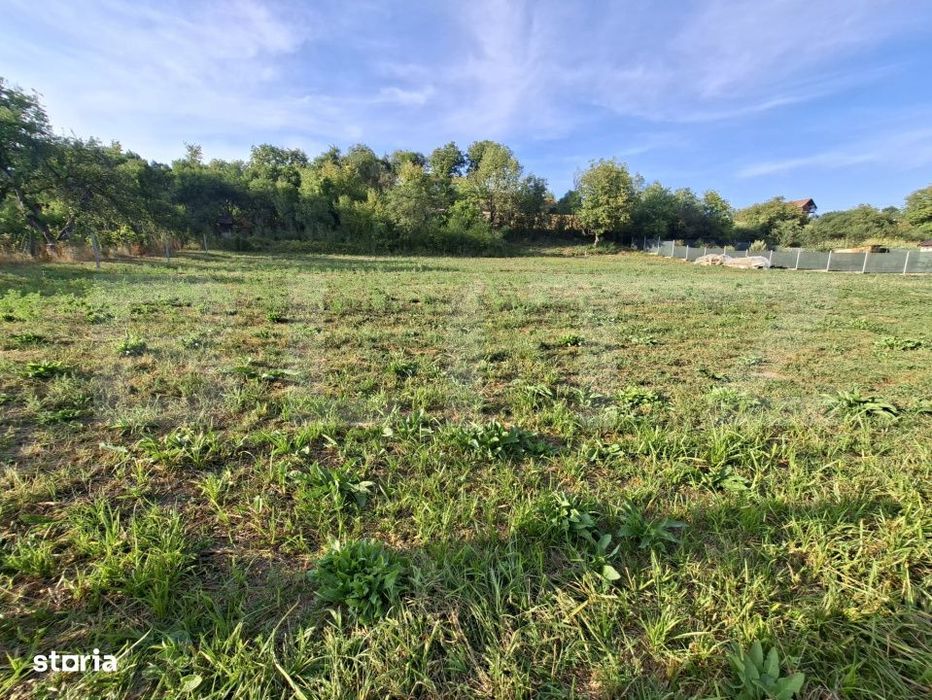 Teren intravilan de vanzare in Poienita – 906 mp, front 15 m