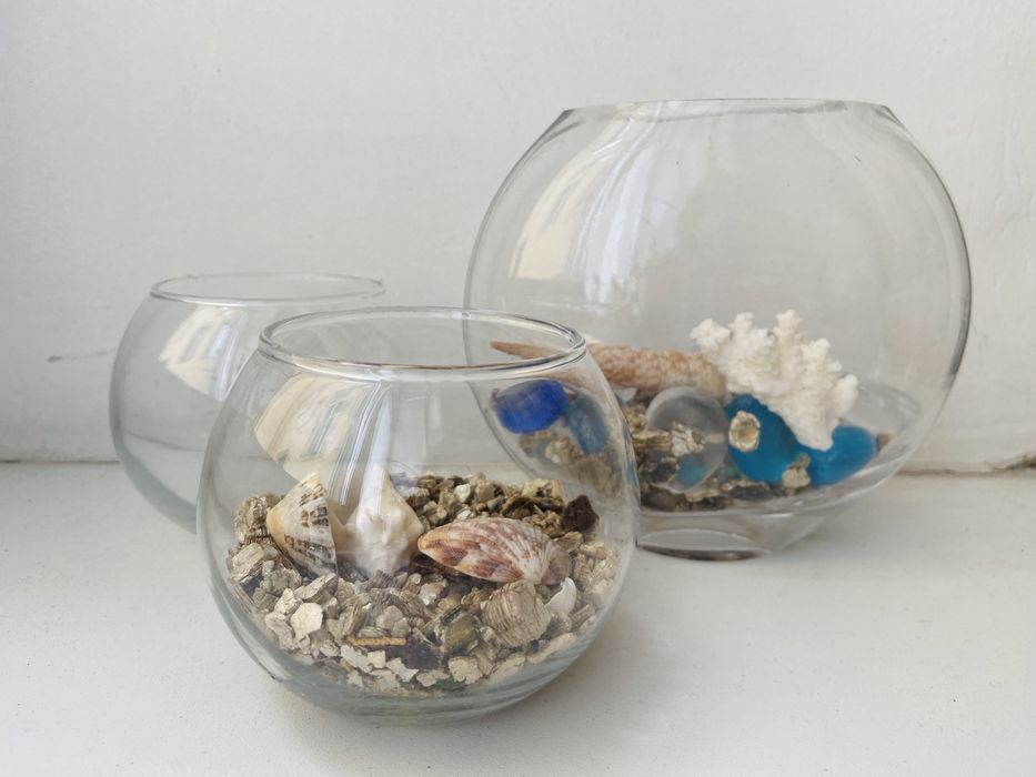 Ракушки декор