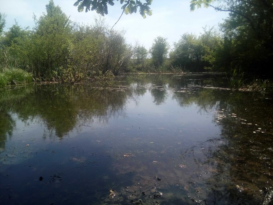 Teren,casa,Iazuri,padure,teren arabil