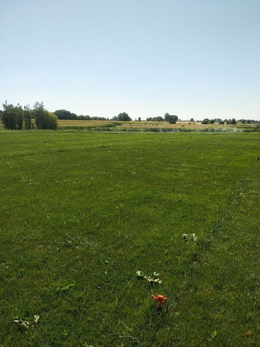 Gazon ,chim ,газон,чим