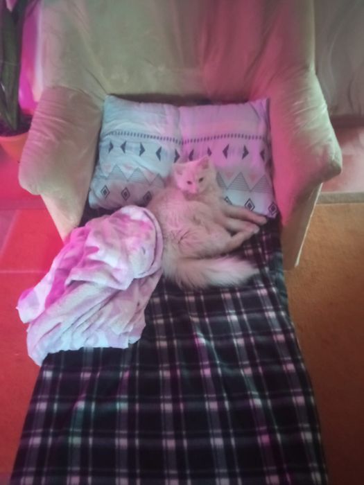 Продам кресло кровать